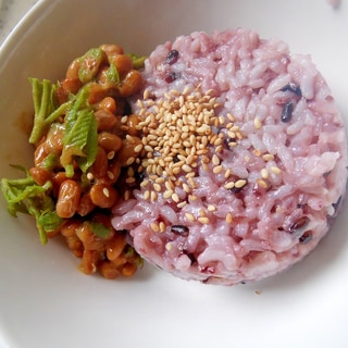 たらの芽風味の納豆ご飯